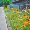 창성농장 이미지