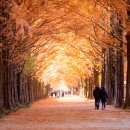 (여행) "가장 늦은 단풍이 가장 아름답네"... 11월 단풍여행으로 꼭 가볼만한 4곳 이미지