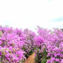 용추농원 이미지