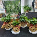 이든테라피 이미지