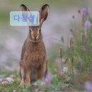 다경샵