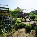 사철나무집민박 이미지