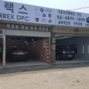 카랙스(CARREX) 이미지