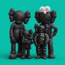 대화국제여행사 이미지