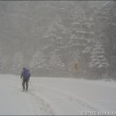 바람의노래 이미지