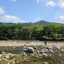 소리당민박 이미지