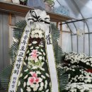 여주-0203 이미지