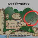 힐링별밤수목원캠핑장 이미지