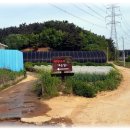 두동편백마을 이미지