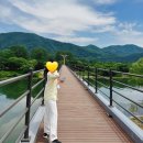 안개꽃정원 | 가평 자라섬 꽃축제 | 양귀비, 안개꽃, 수국까지 다 피어났다~