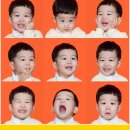 손튜디오 | [두돌사진] 24개월 손튜디오 9컷패키지 증명사진 내돈내산 후기📸