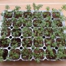 종오당 약국 이미지