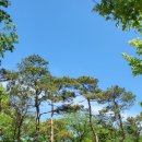 중앙동117 이미지