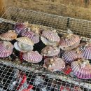 젤코바펜션 이미지