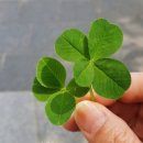 행운노래방 이미지