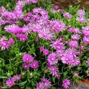 통영등대낚시공원 이미지