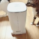 고양이 자동급식기 로제코 사료 자동급식기 후기