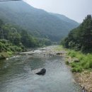 퍼니멍멍 갤럭시하우스점 이미지