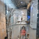 홍익대학교  박물관 | 서대문자연사박물관 두돌아기 후기｜전시 총 정리 + 23개월 아기 실제 반응