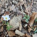 대티로 9 버스정류장 옆(대티고개) | 부산 시약산, 구덕산 산행