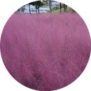 신서중앙공원 이미지