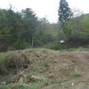 복내택시 이미지