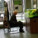 물속풍경 이미지