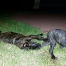 대풍슈퍼 이미지