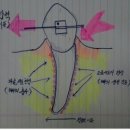 유재형치과의원 이미지