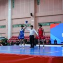 태극 무술관 이미지