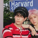 지니하니 이미지