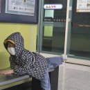 윗반송 | [부산 해운대구 윗반송] 해운대수목원 아이와 봄나들이 부산 무료 수목원 셔틀카트·양떼·벚꽃 총정리...