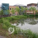 자연환경 이미지