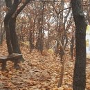 백운행정사사무소 이미지