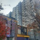 수원, 광교 (용인 수지) 영어 유치원 알아보기 (CBIS.K , 알티오라, 위즈아일랜드, ASPP) 입학설명회 후기