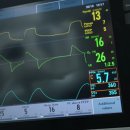 암 환자가 주로 접하는 기본 용어 ​ 이미지