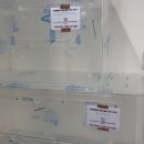 달빛 햄스터리 서울점 이미지