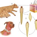 아이사랑 동물병원 이미지