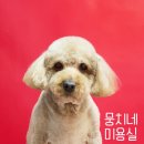 뭉치네 미용실 이미지