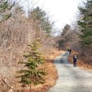 광양 백운산 따리봉~도솔봉.(2019.02.28.한솔산악회) 이미지