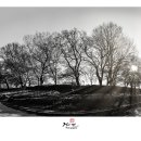 별빛뜨락 이미지