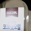 코코엘 이미지