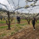 인천광역시 농업기술센터 이미지