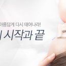 창조테라피