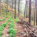 초리농장 이미지