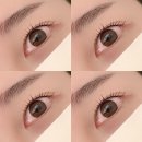 레빗브로우 이미지