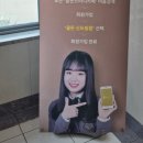 보미플라자 이미지