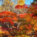 운문사암자순례(청솔님사진) 이미지