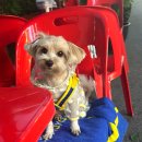 씨앤비어 이미지