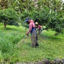 혁이농장 이미지